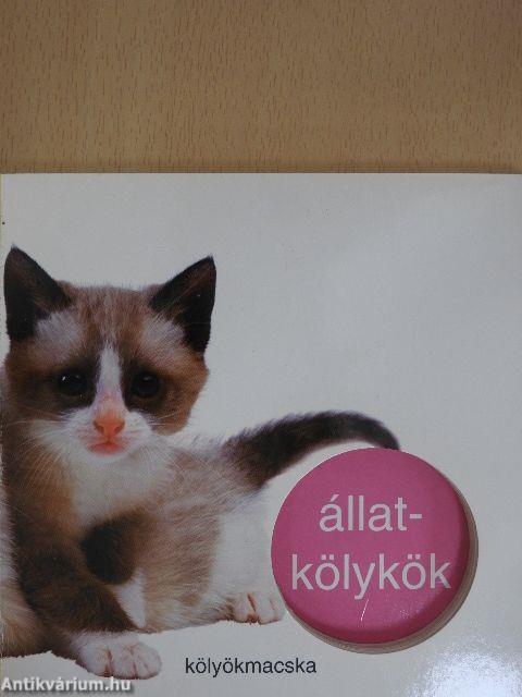 Állatkölykök