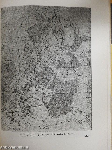 Csongrád megye évszázadai 1-3.