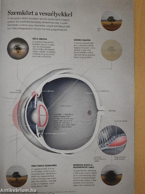 National Geographic Magyarország 2016. szeptember