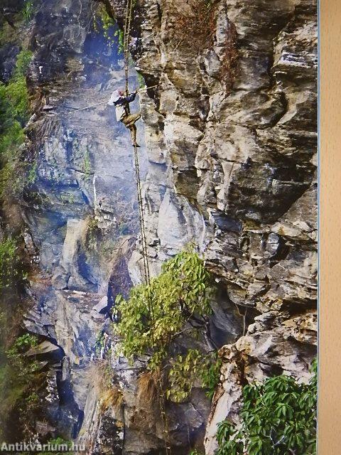 National Geographic Magyarország 2017. július