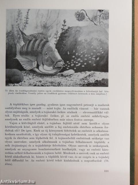 Az emberi test I-II.