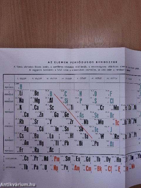 Az emberi test I-II.