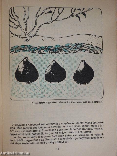 Növények teleltetése