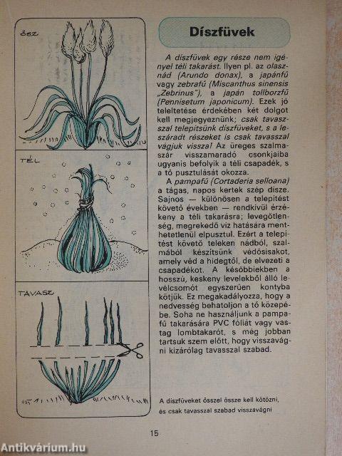 Növények teleltetése