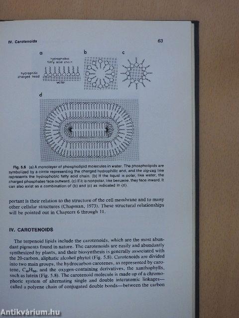 Liquid Crystals and Biological Structures