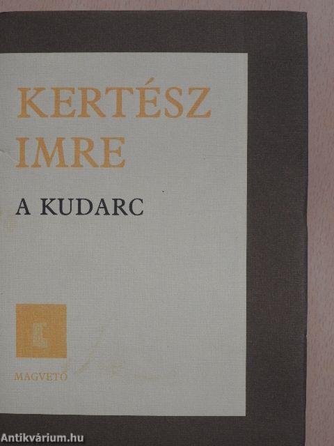 A kudarc