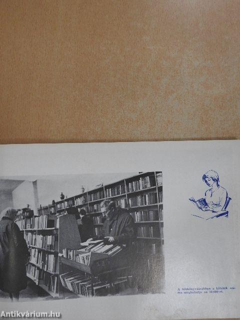 Negyedszázad a II. kerületben