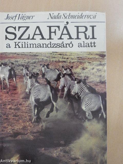 Szafári a Kilimandzsáró alatt