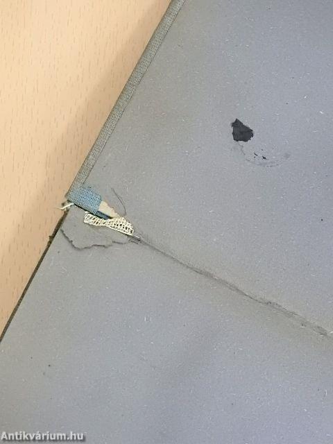 Az emberi gazdálkodás története