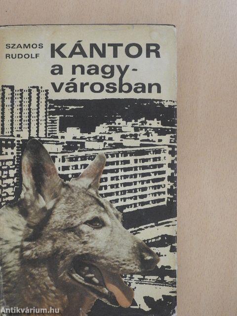 Kántor a nagyvárosban