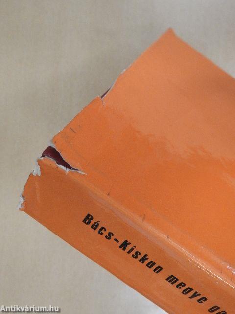 Bács-Kiskun megye gazdasági és kommunális fejlődésének 25 éve