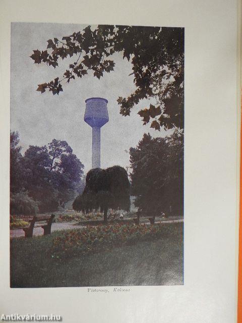 Bács-Kiskun megye gazdasági és kommunális fejlődésének 25 éve