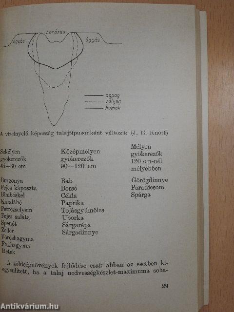 Zöldségnövények szabadföldi termesztése a házikertekben