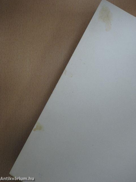 A belgyógyászat alapvonalai 3. (töredék)