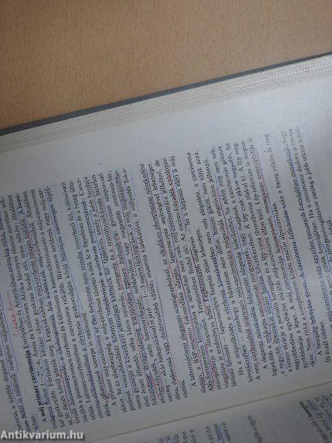 A belgyógyászat alapvonalai 3. (töredék)