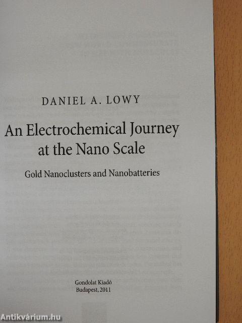 An Electrochemical Journey at the Nano Scale