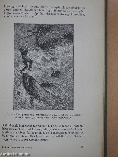 Amit rosszul tudunk