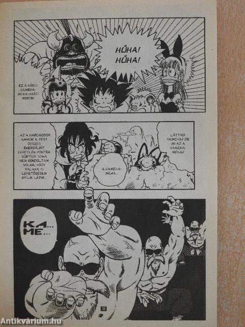 Dragonball 2000/5.