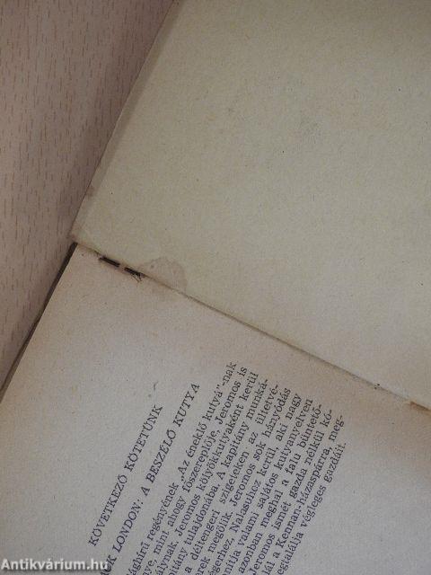 Az elvarázsolt zarándok