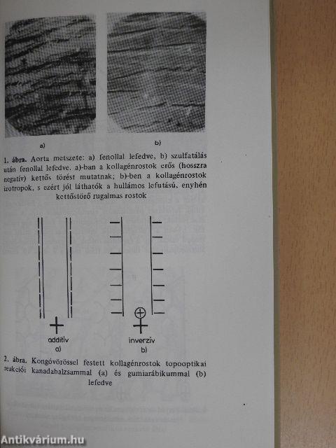 Topooptikai reakciók és szerepük a biológiai ultrastruktúra-kutatásokban