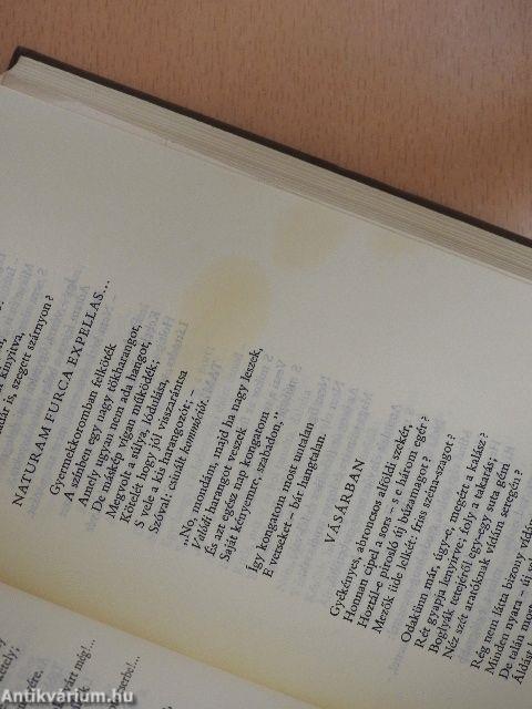 Hét évszázad magyar versei II. (töredék)