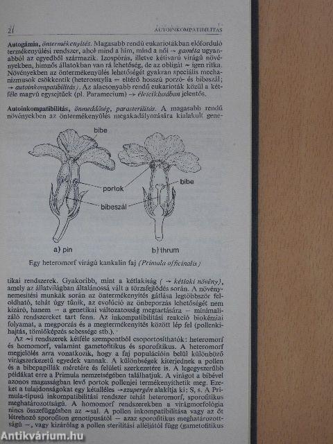 Genetika kislexikon