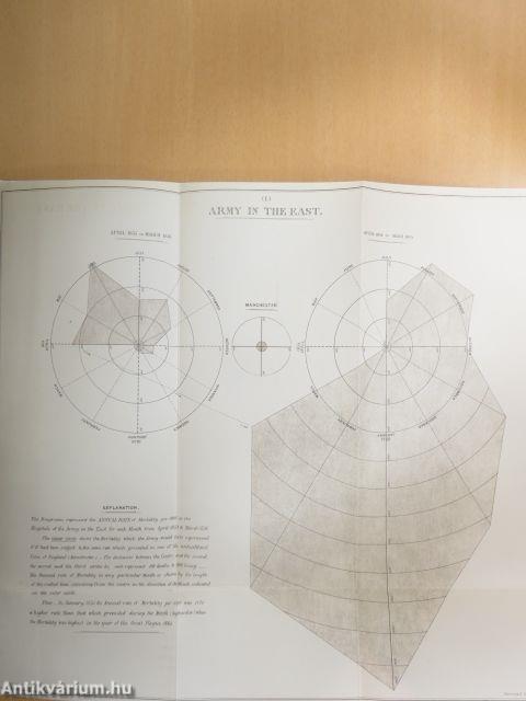 Mortality and Health Diagrams