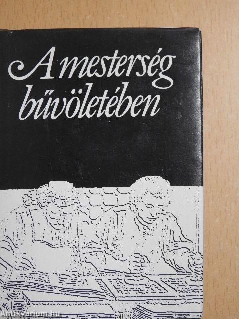 A mesterség bűvöletében