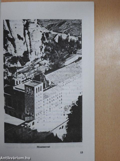 Krisztus lelke szentelj meg...