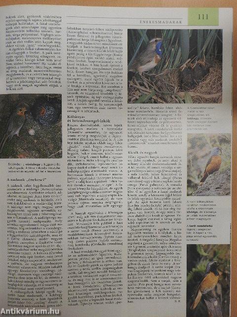 Pannon Enciklopédia - A magyarság kézikönyve