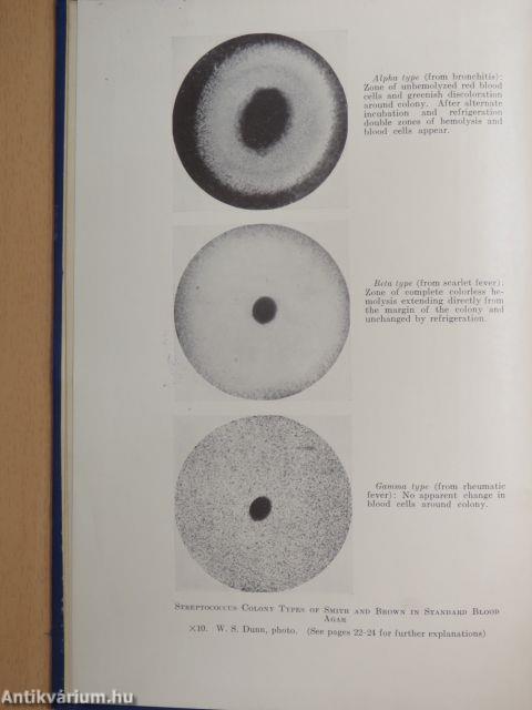 Streptococci in Relation to Man in Health and Disease