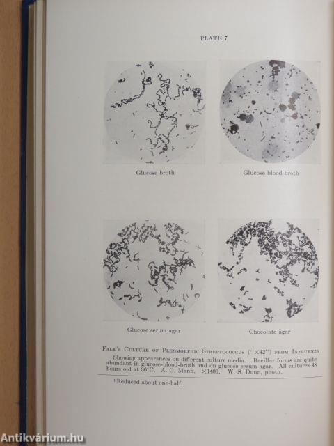 Streptococci in Relation to Man in Health and Disease