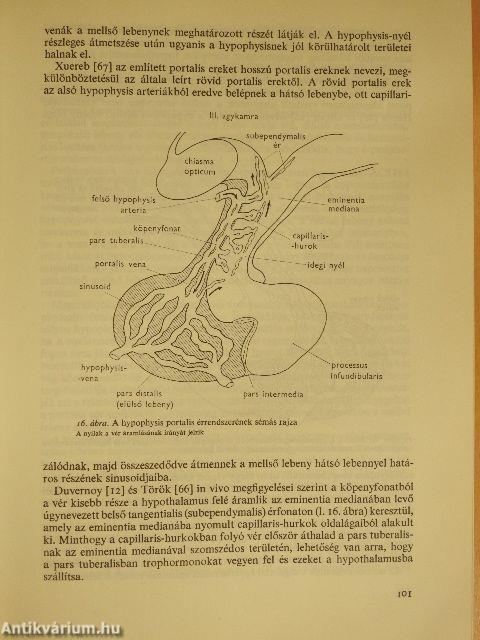 Klinikai endocrinologia 1-2.