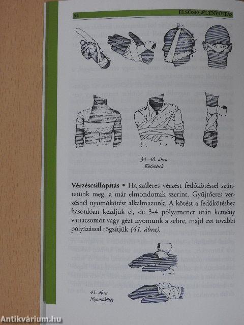 Turisztika