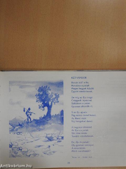 Varázslatos vizeink