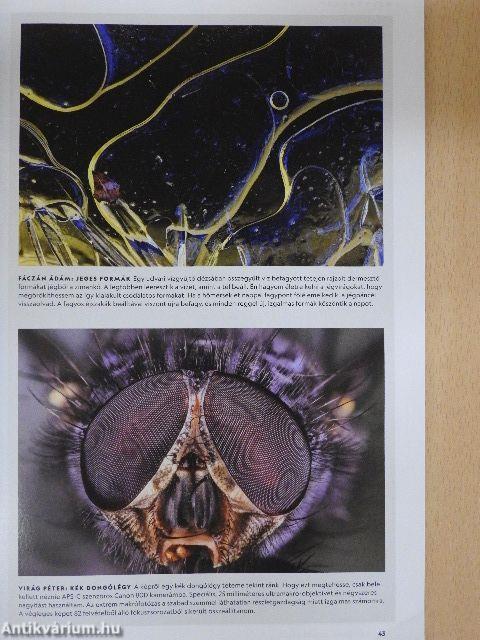 National Geographic Magyarország 2021. március