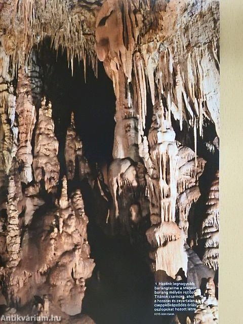 National Geographic Magyarország 2021. március