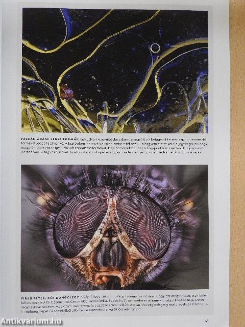 National Geographic Magyarország 2021. március