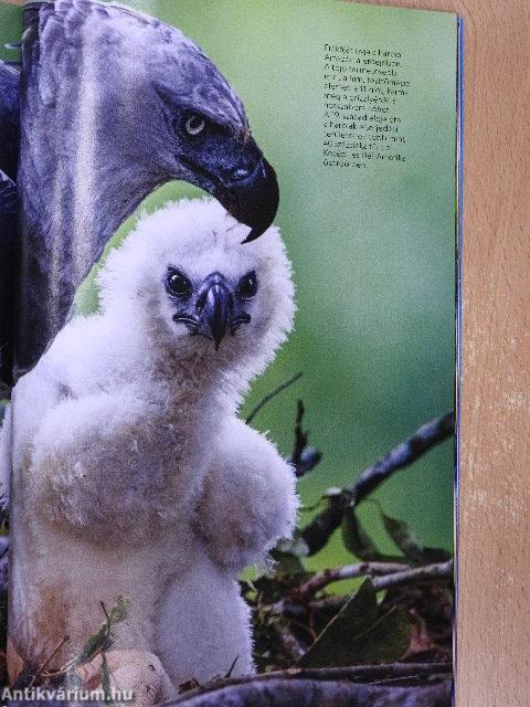 National Geographic Magyarország 2020. október