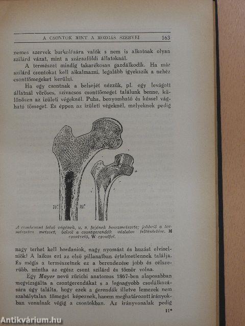 Az emberi test csodái