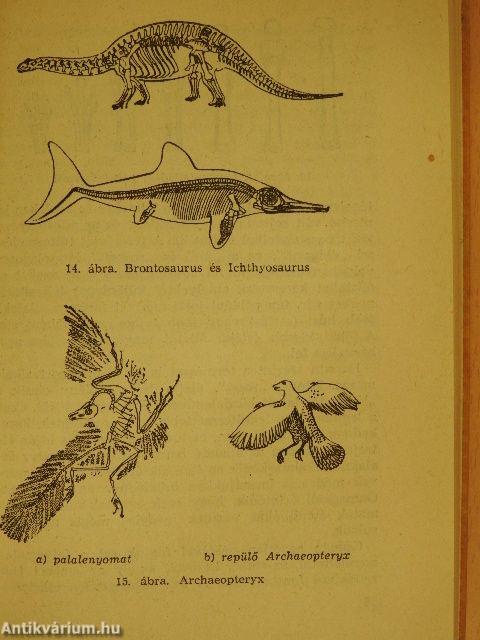 Őszinte szó a szerelemről