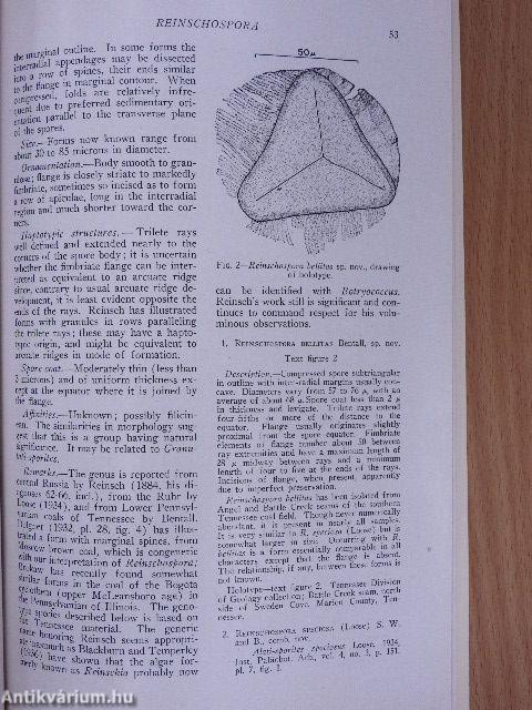 An annotated synopsis of paleozoic fossil spores and the definition of generic groups