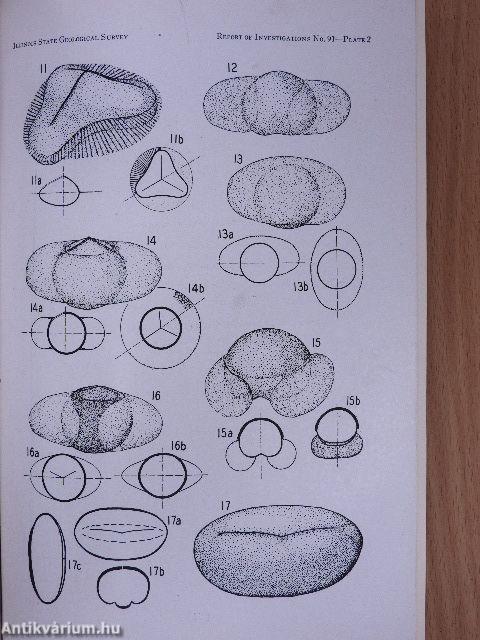 An annotated synopsis of paleozoic fossil spores and the definition of generic groups