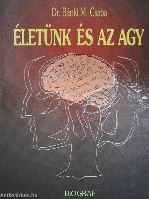 Életünk és az agy