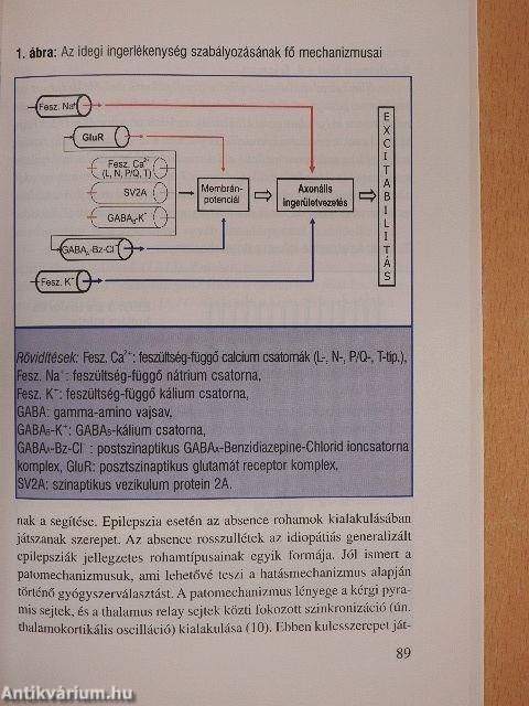 Korszerű stratégiák az epilepszia gyógyszeres kezelésében