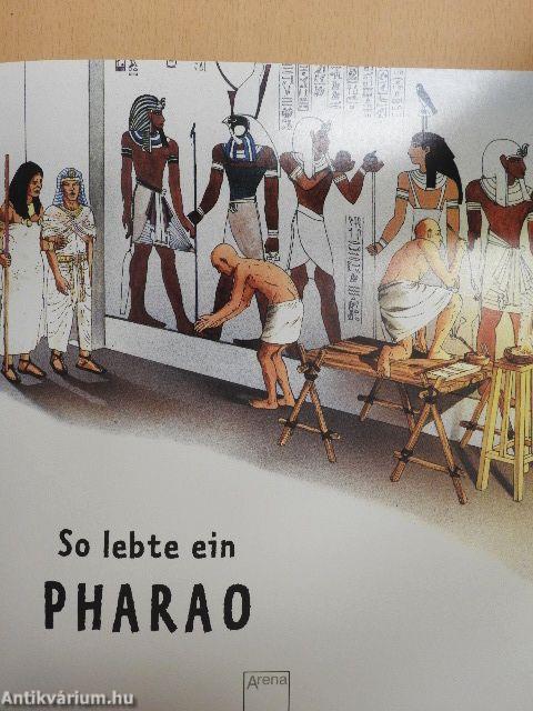 So lebte ein Pharao