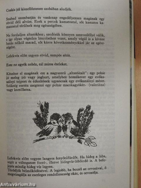 A szépség iskolája