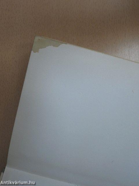 Felsőfokú angol társalgási és külkereskedelmi nyelvkönyv