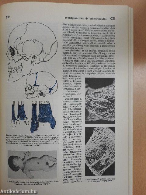 Egészségügyi ABC