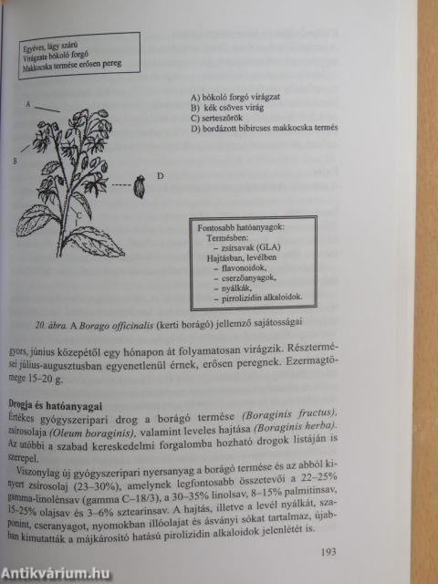 Gyógy- és fűszernövények gyűjtése, termesztése és felhasználása